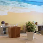 Navicri Frühstückspension 4*